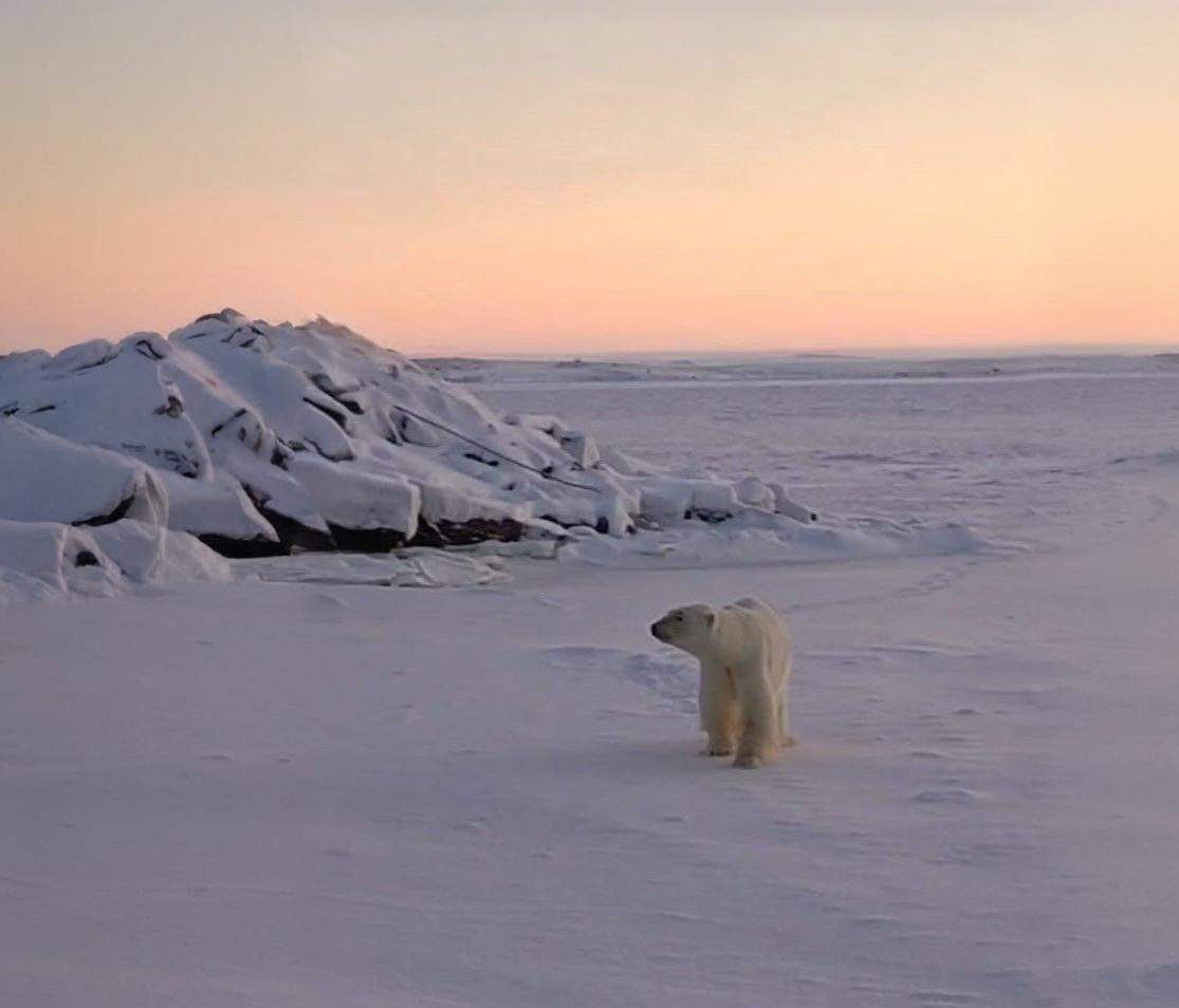 Фото Связь на краю земли: оператор Т2 пришёл в самый северный посёлок России 3 - Сиб.ФМ Фото Связь на краю земли: оператор Т2 пришёл в самый северный посёлок России 3